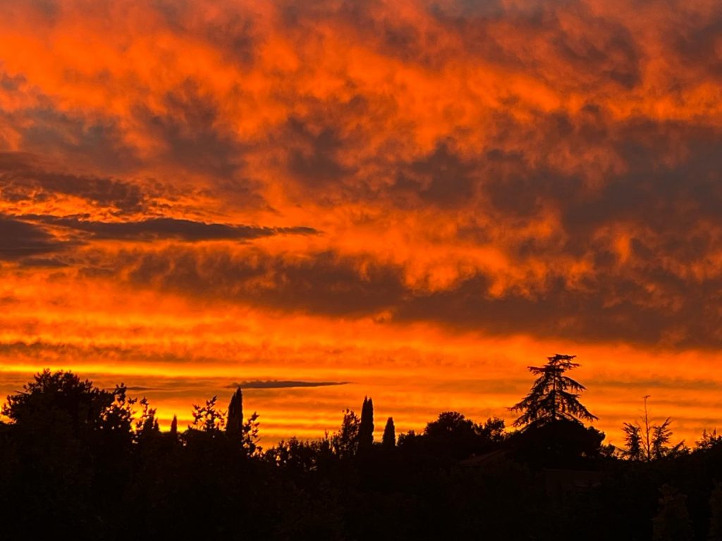 WhatsApp Image 2025 11 28 at 17.21.42